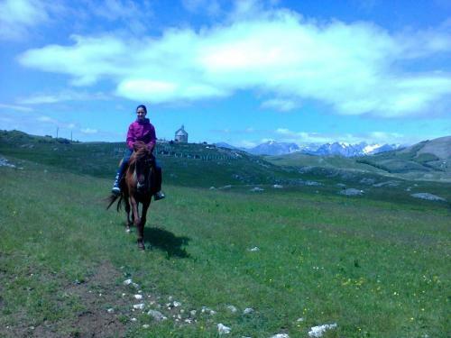 Bed & Breakfast Guest House Etno Village Milogora
