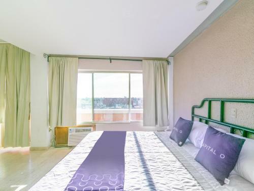 Hotel Iq
