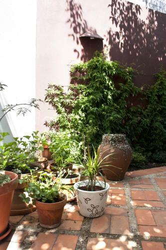 Bed & Breakfast A Casa Da �rvore
