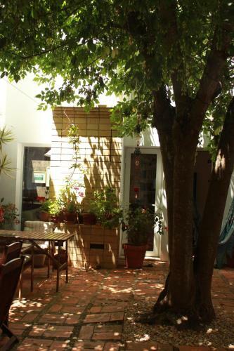 Bed & Breakfast A Casa Da �rvore