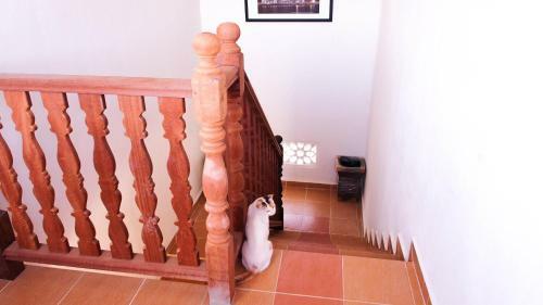 Hostal Family Lodge 25