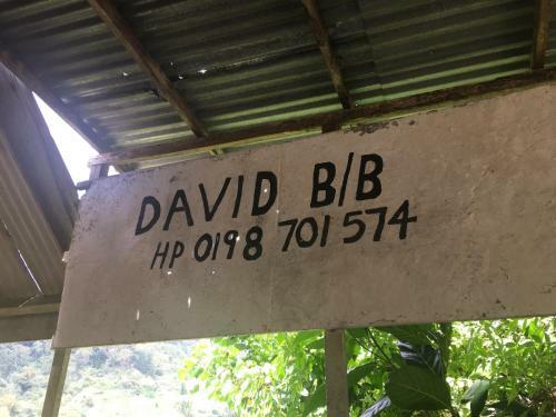David Bed & Breakfast