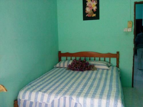 Shima Homestay