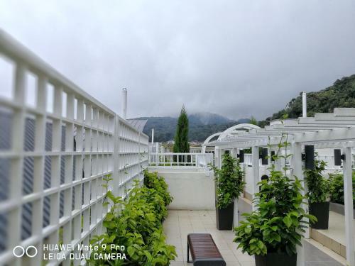 Apartamentos A5 Barrington Square Golden Hill