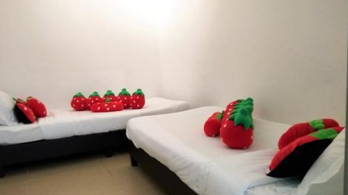 Apartamento Cameron Strawberry Residence