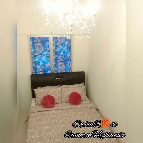 Apartamento Muslim Sophiarose House With Balcony