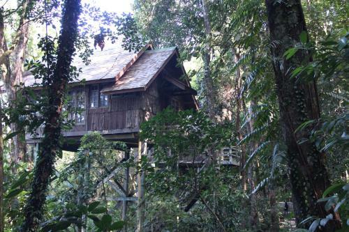 Hotel Permai Rainforest Resort