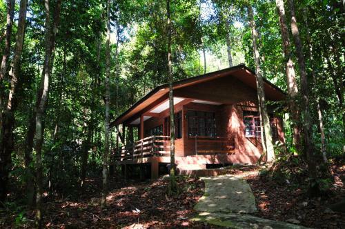 Hotel Permai Rainforest Resort