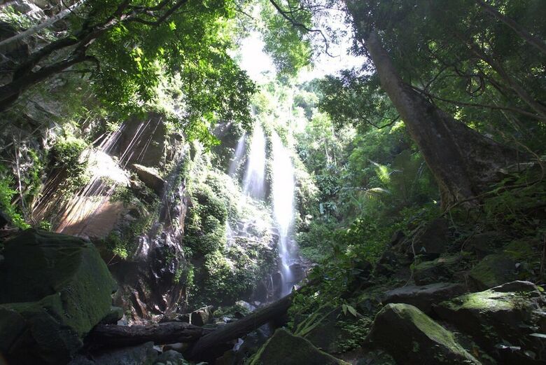 Hotel Belum Rainforest Resort
