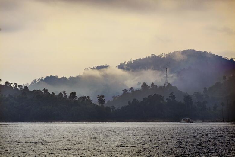 Hotel Belum Rainforest Resort