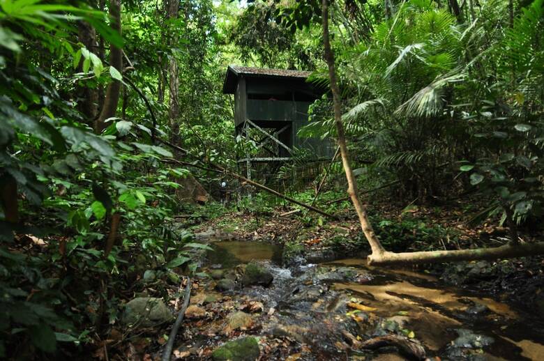 Hotel Belum Rainforest Resort