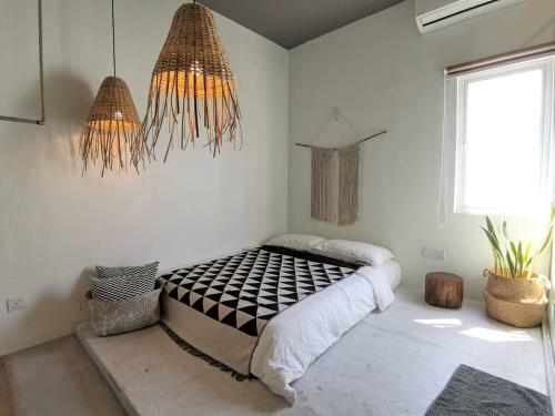 Hotel Dubin Art House