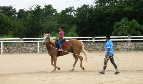 Hostal Bakab Hostel & Equestrian Amenities