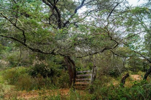 Koanze Luxury Hotel & Spa