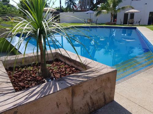 Hotel Yolonam Inn