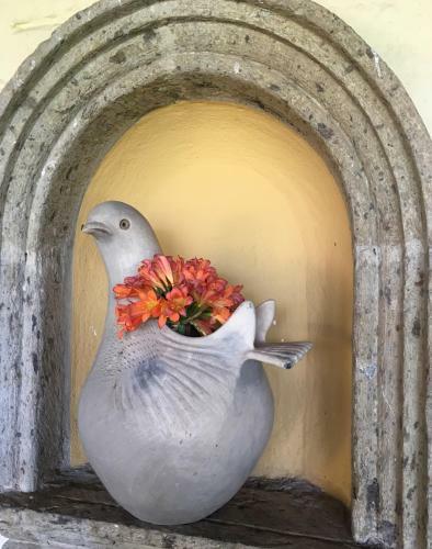 Las Palomas Bed & Breakfast (16 Y Mayores)
