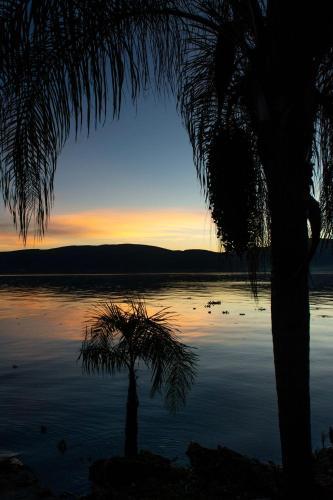 Las Palomas Bed & Breakfast (16 Y Mayores)