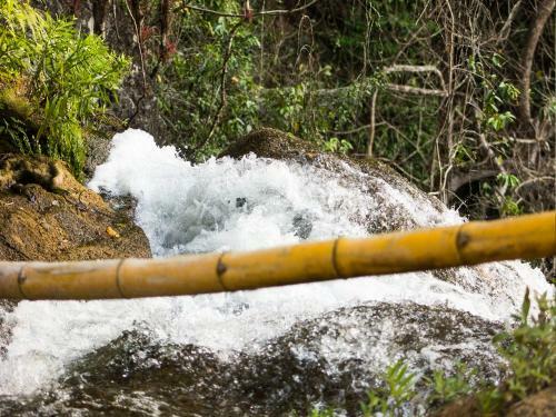 Lodge Reserva Ecol�gica Copalitilla