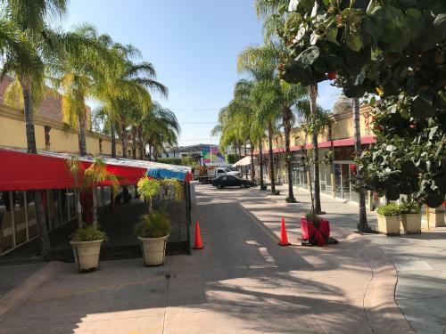 Hotel Paseo Palmas