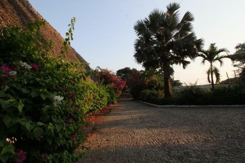 Hotel Villa Blanca Suites