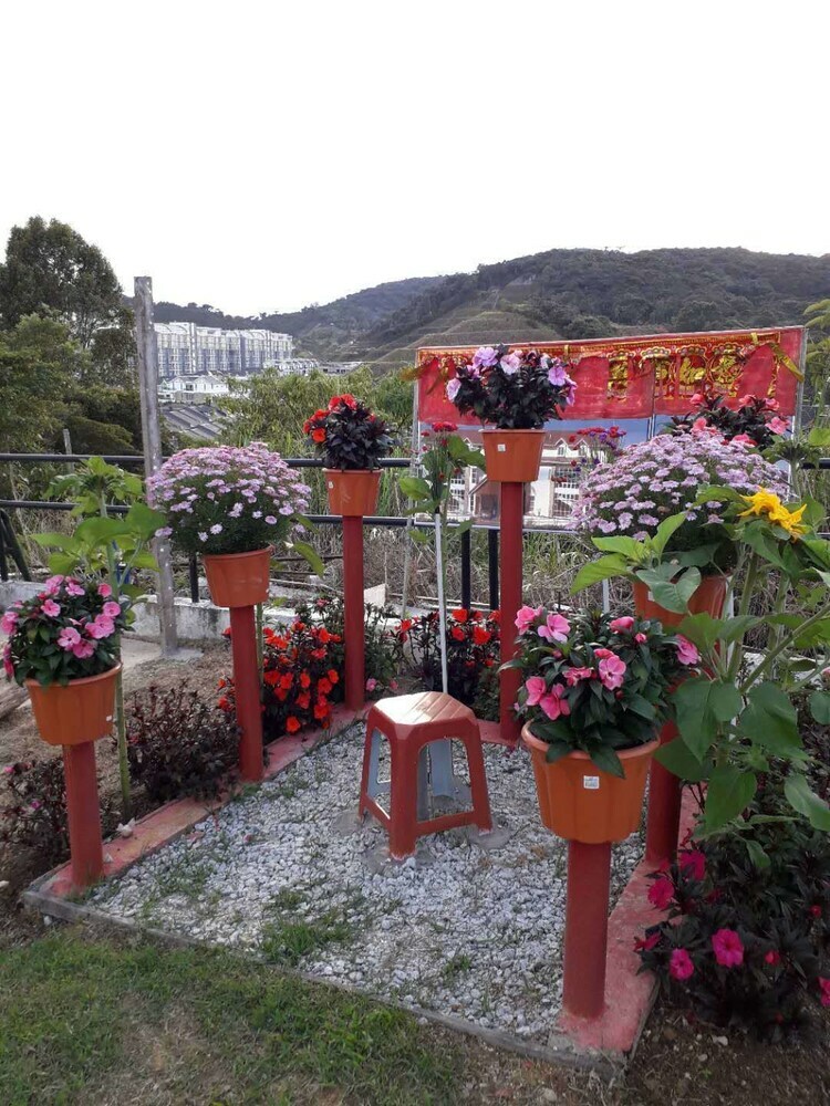 Hotel Dear Dino Villa Cameron Highlands