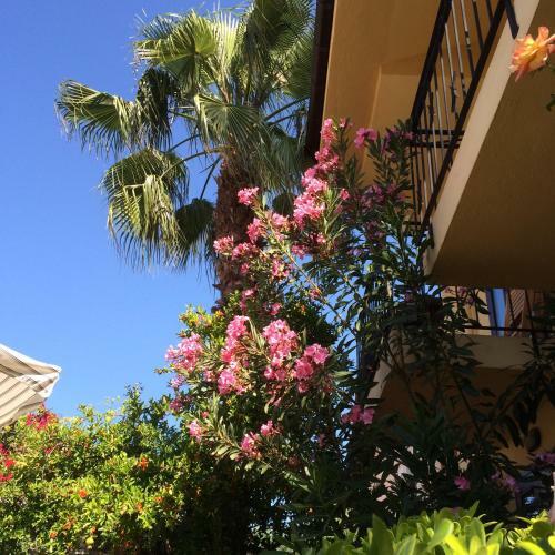Villa Danlin Hotel