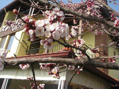 Kybele Hotel Gocek