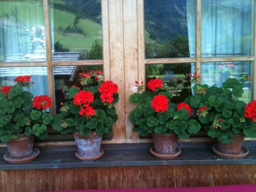 Apartamento Landhaus Bergheimat