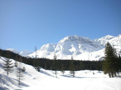 Apartamento Triglerschl�ssl Appartements