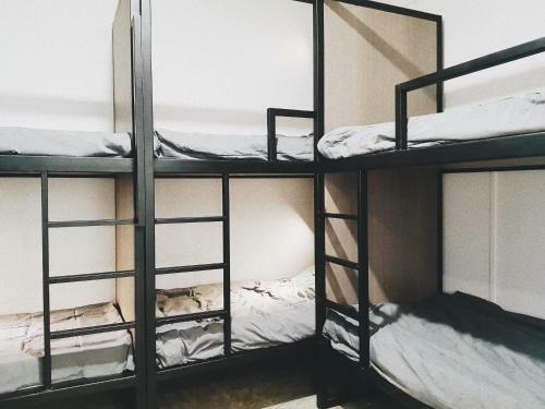 Dimple Life Hostel