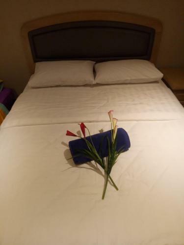 Apartamentos Imago Riverson Soho