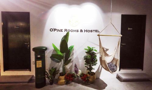 O'pine Rooms & Hostel
