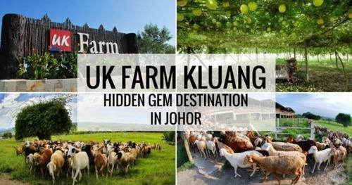 Hotel Uk Farm