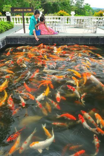 Hotel Pulai Springs Resort