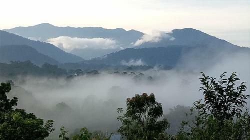 Mulu Village