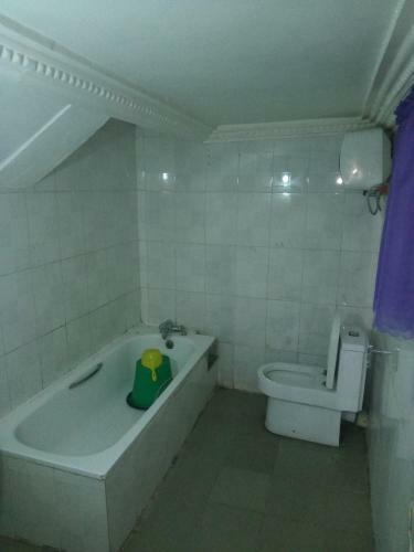 Hotel Apple Suite