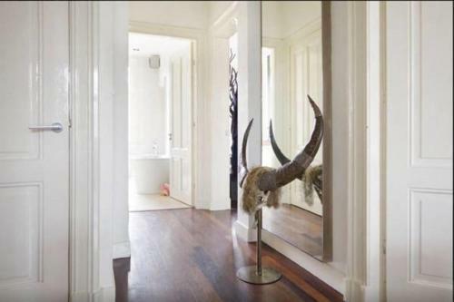 Apartamento Amsterdam Dream