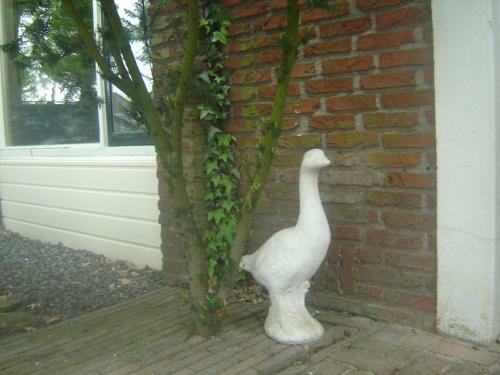 Bed & Breakfast B & B Kostelijk