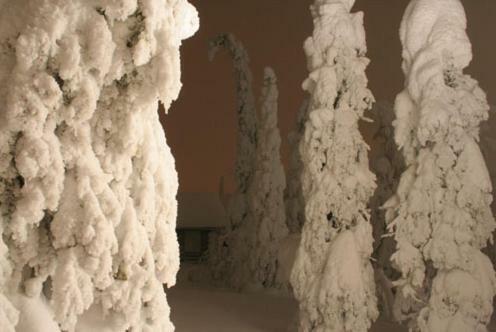 Kelokoto Chalets