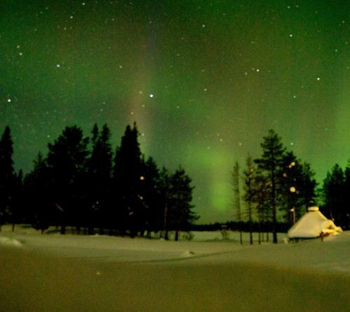 Lodge Ruka Safaris - Papin Talo