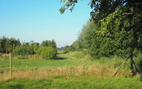 Vakantiewoning Oostkapelle 1