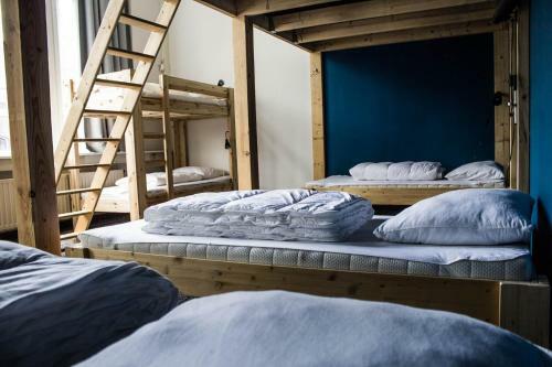 Hostel Roots