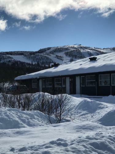 Apartamento Solli Ferieleilighet