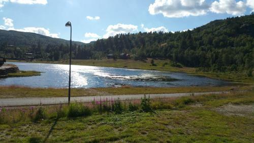 Lodge Bortelid Booking