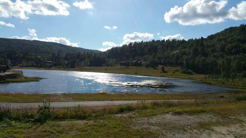 Lodge Bortelid Booking