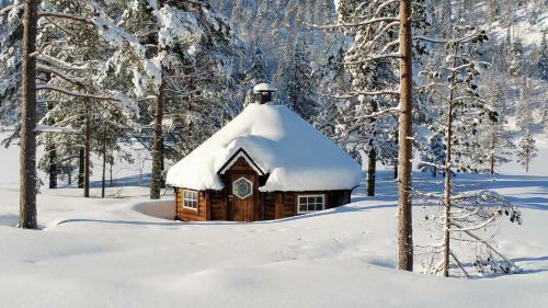 Lodge Bortelid Booking