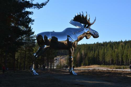 Skjerdingen H�yfjellshotel I Ringebu