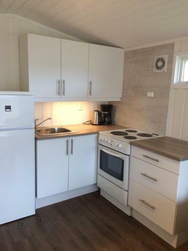 Lodge Mj�svang Cabin