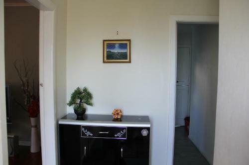 Villa Cherry Blossom Retreat