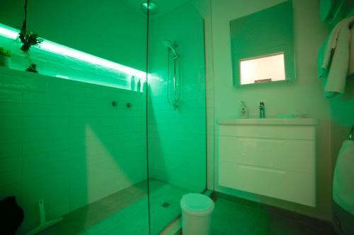 Urban Oasis Apartment